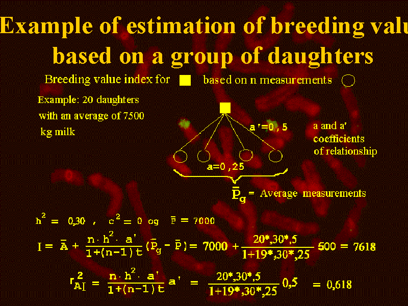 Example of estimation of breeding value based on a group of daughters